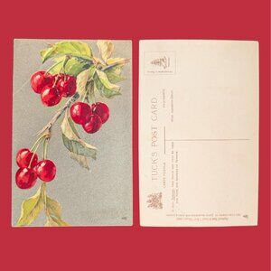 Vintage Blank Edwardian Postcard Art Nouveau Red Cherries
